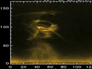 Космическое агентство NASA опубликовало видеокадры мощного солнечного торнадо