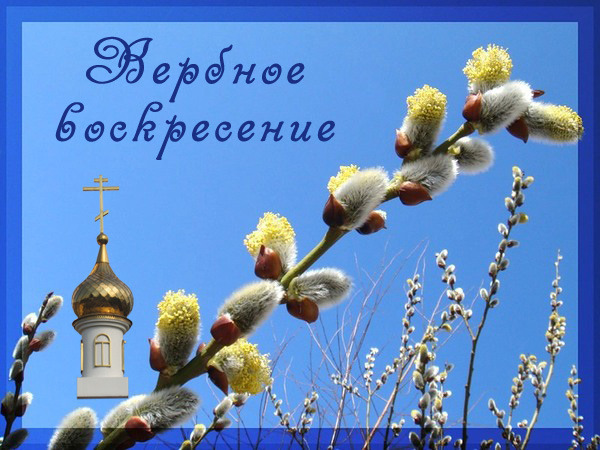 Вербное воскресенье 2013 что нельзя делать	