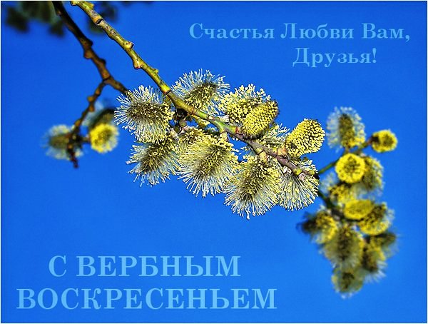 Вербное воскресенье 2013