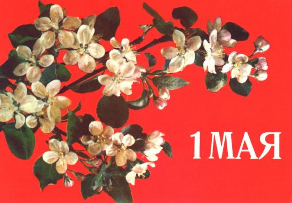 1 мая 2013