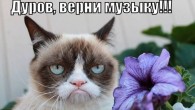 Вконтакте начала массово пропадать музыка