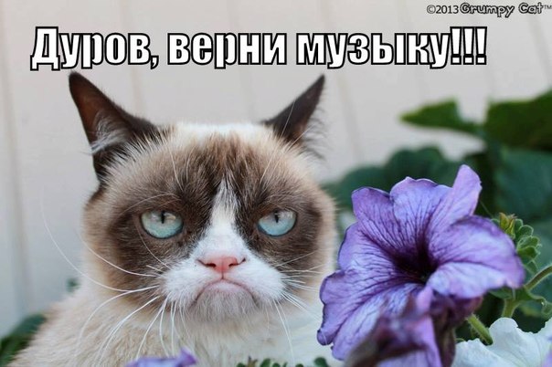 Вконтакте начала массово пропадать музыка