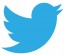 Twitter выходит на IPO