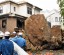 Масштабный оползень произошел на японском острове Идзуосима