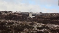 В Алжире объявлен трёхдневный траур