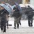 Из-за морозов в Японии погибло 13 человек