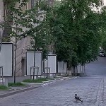 В Украине день «политической тишины»