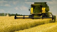 Агрария в Крыму не хватает топлива для сбора урожая