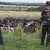 Видео. Малайзийские эксперты осмотрели место падения Боинга-777