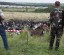 Видео. Малайзийские эксперты осмотрели место падения Боинга-777