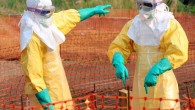 В США второй пациент с признаками Эболы доставлен в больницу