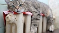 В Украине начался отопительный сезон
