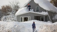 buffalo-snowfall